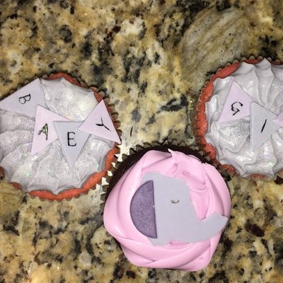 6 Count Cupcake 