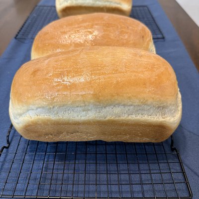 Sandwich Bread