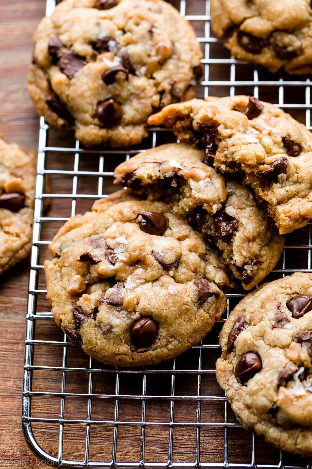 Brown Butter Chocolate Chip 