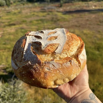 Classic Plain Sourdough Loaf 