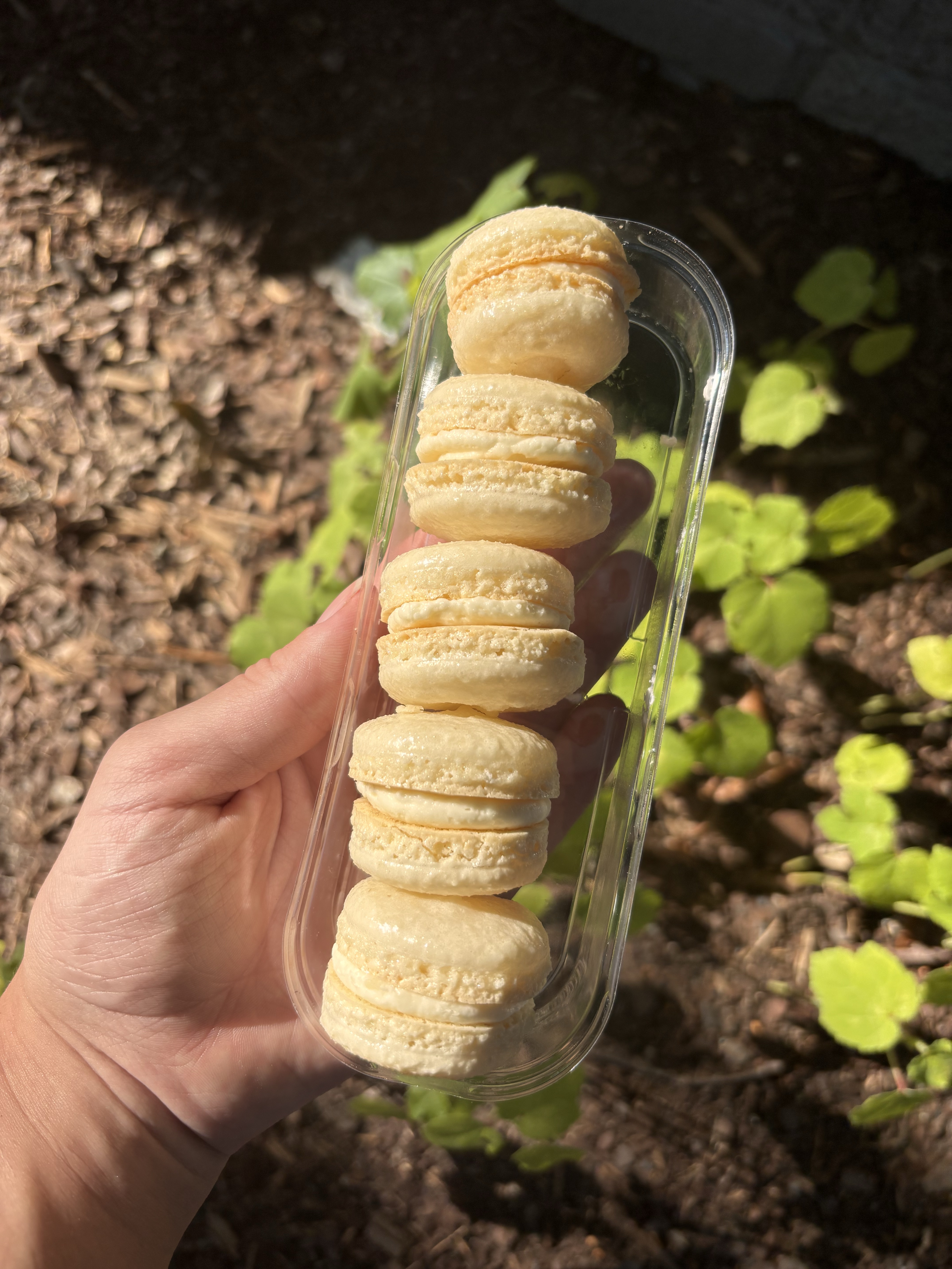 Macarons