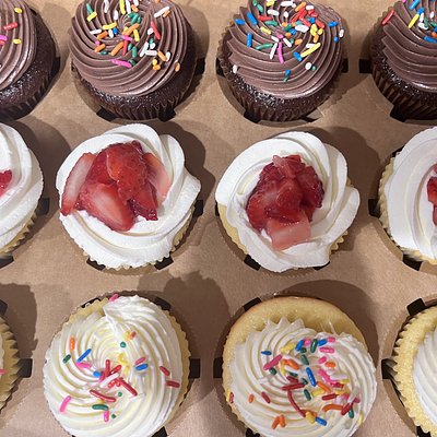 12 Cupcake Sample Box 