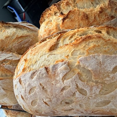 Plain Sourdough