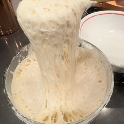 Sourdough Starter