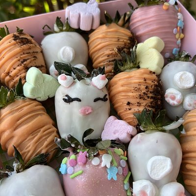 Chocolate Covered Strawberries 6 Count 