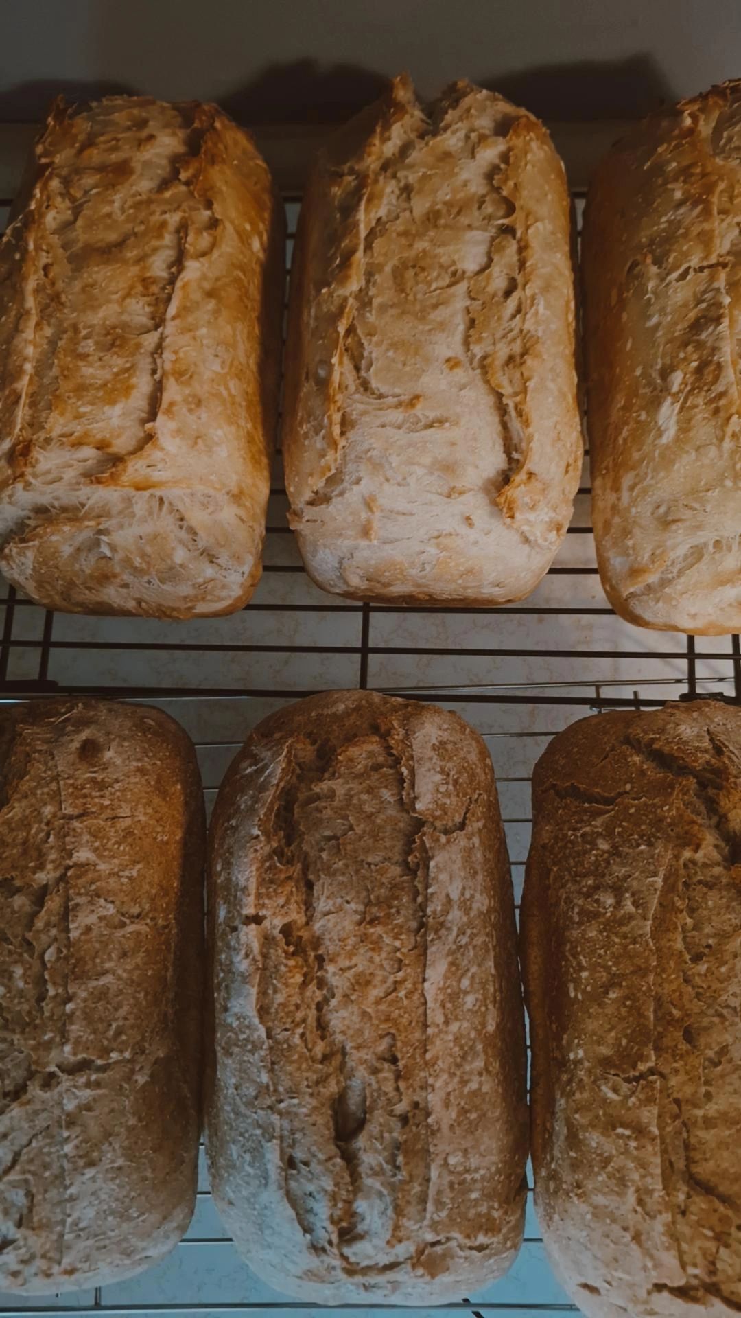 Honey Toasted Oatmeal Sourdough Loaf 