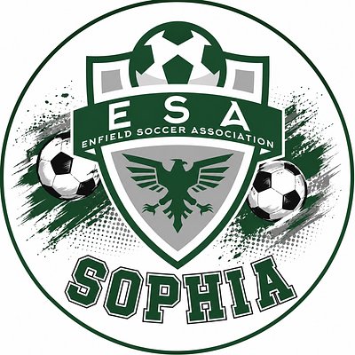 ESA Soccer Cookie