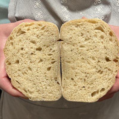 Sourdough Plain Loaf                   (Fresh - Regular)