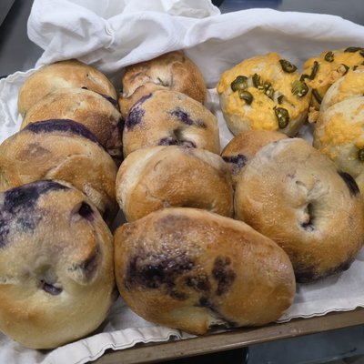Blueberry Bagels (6)