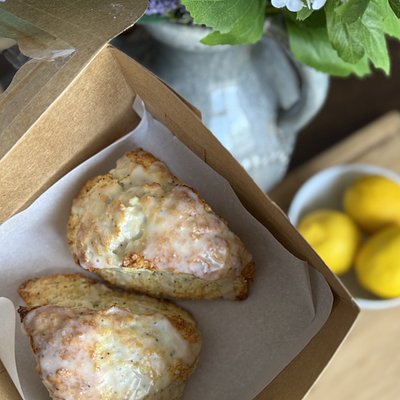 Lemon Poppyseed Sourdough Scones, 2 Count