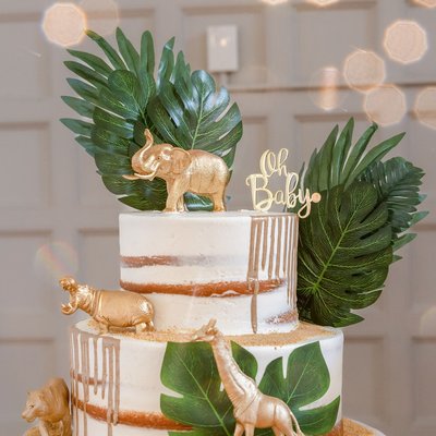 2 Tier Cake + 4 Dozen Treats