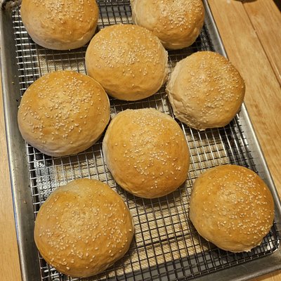 Hamburger Rolls 
