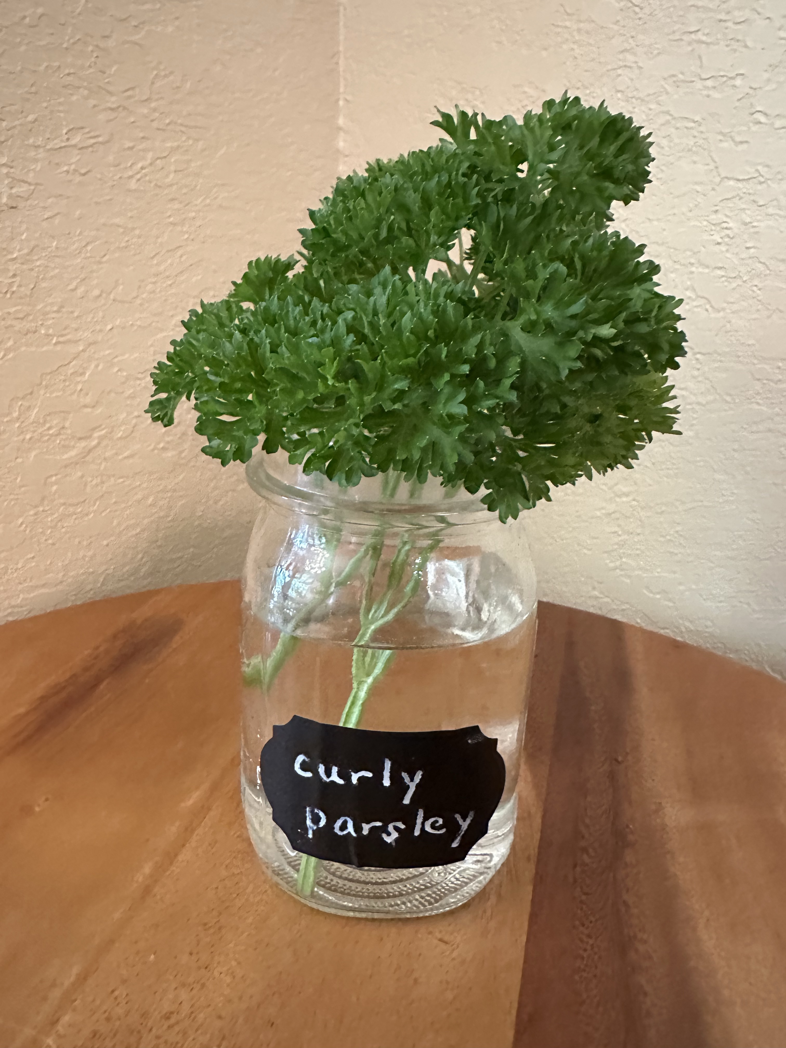 🌱Curly Parsley- Fresh Herbs 