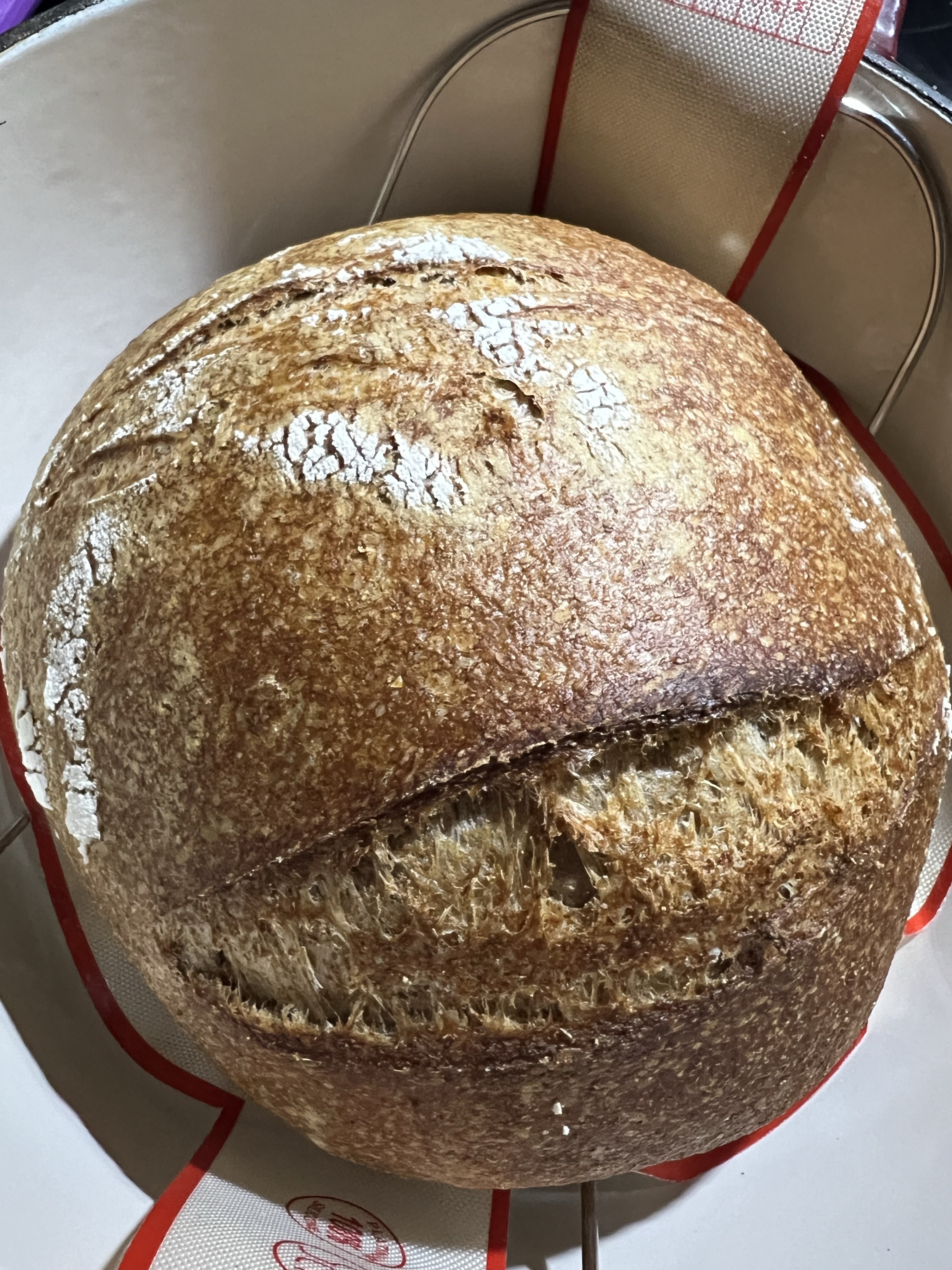Whole Wheat Sourdough Loaf🌾