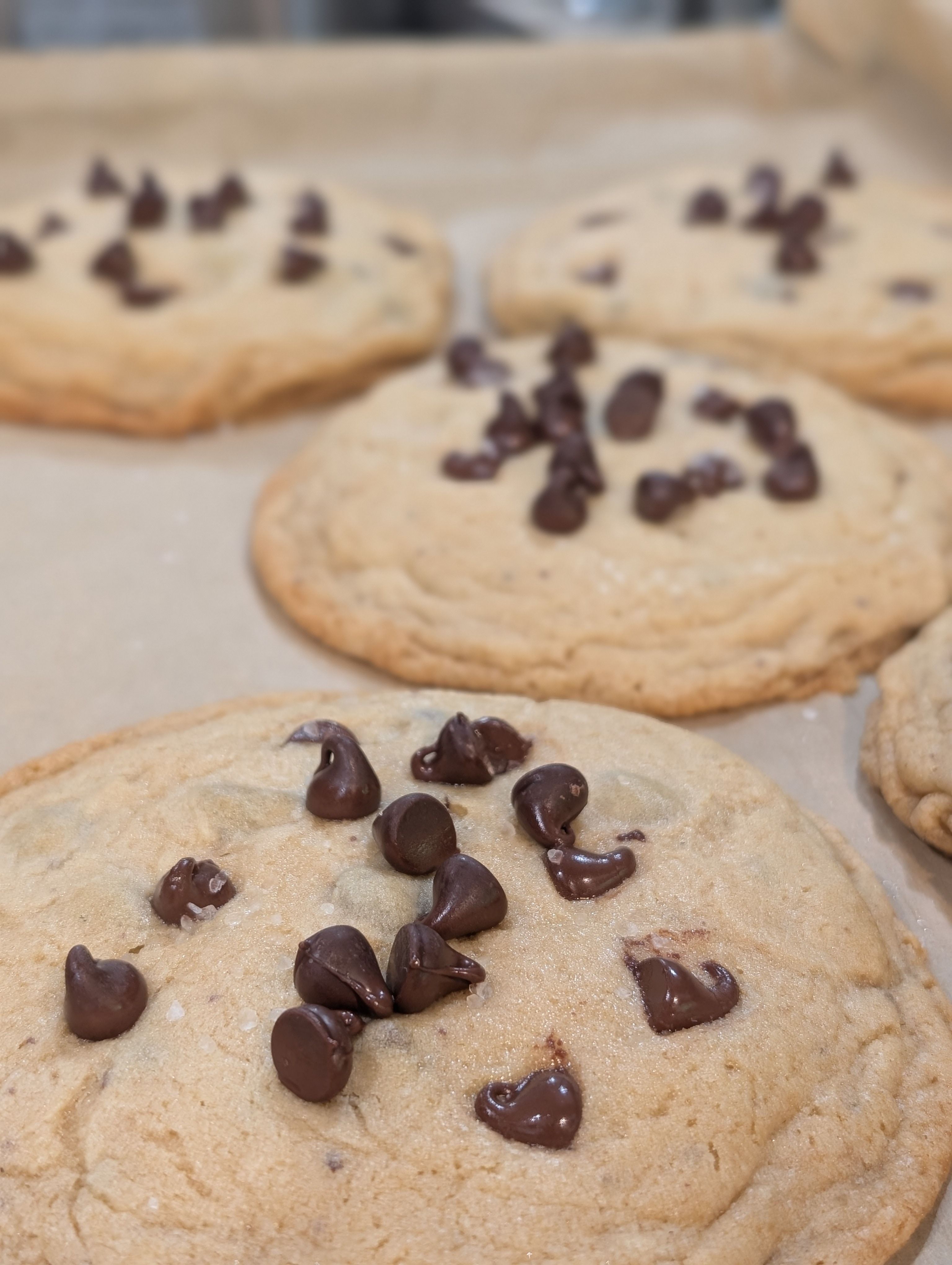 Chocolate Chip Cookie