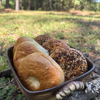 Plain Bagels 