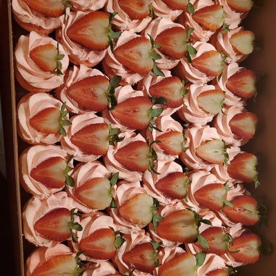Dozen Cupcakes