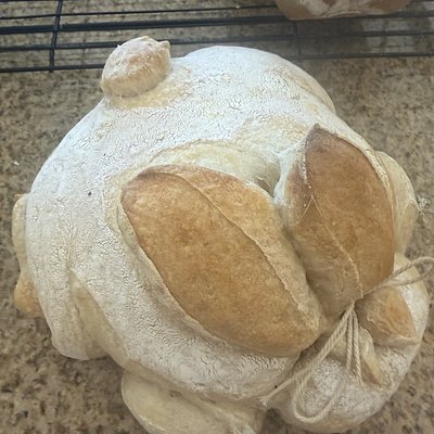 Bread Bunny 