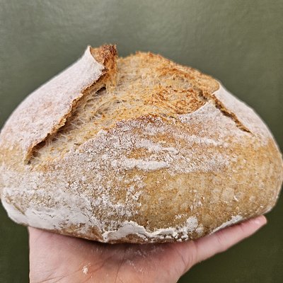 Red Fife Sourdough 