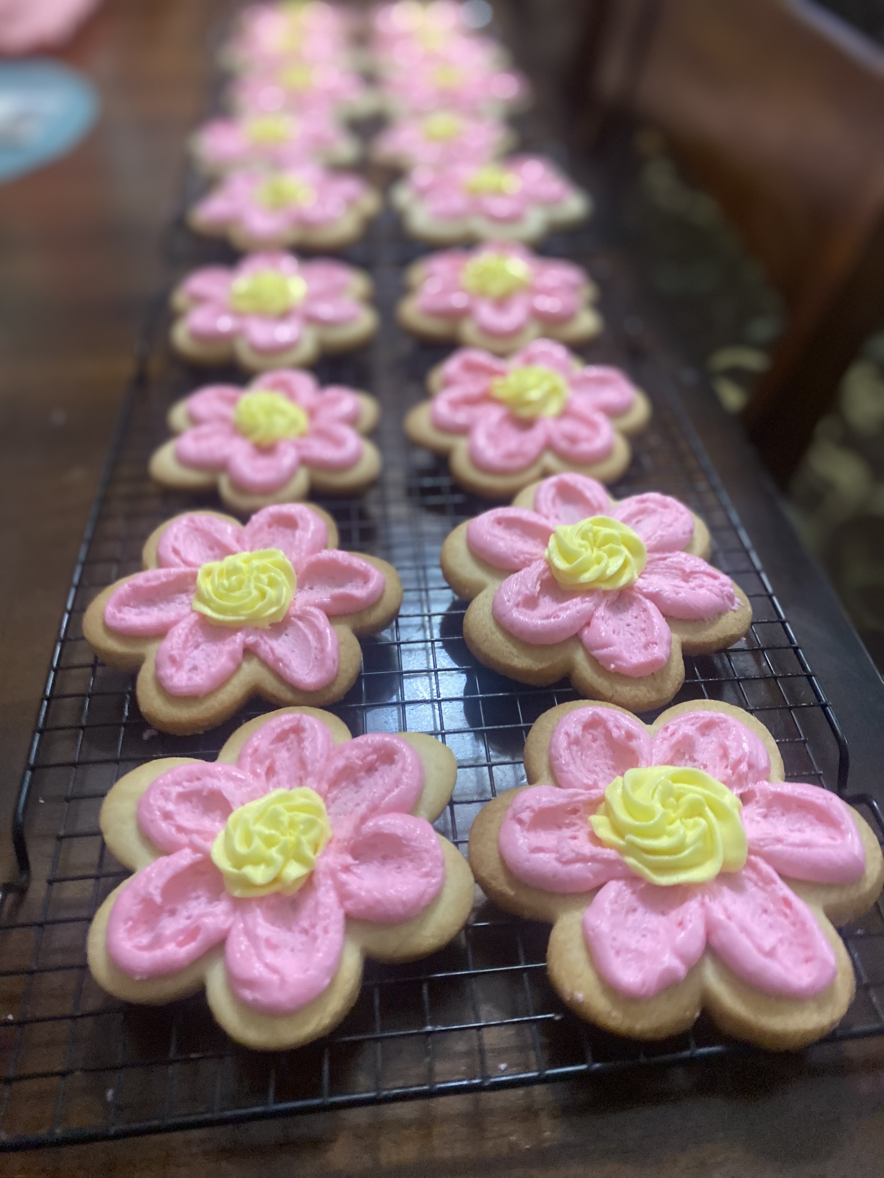 Sugar Cookies
