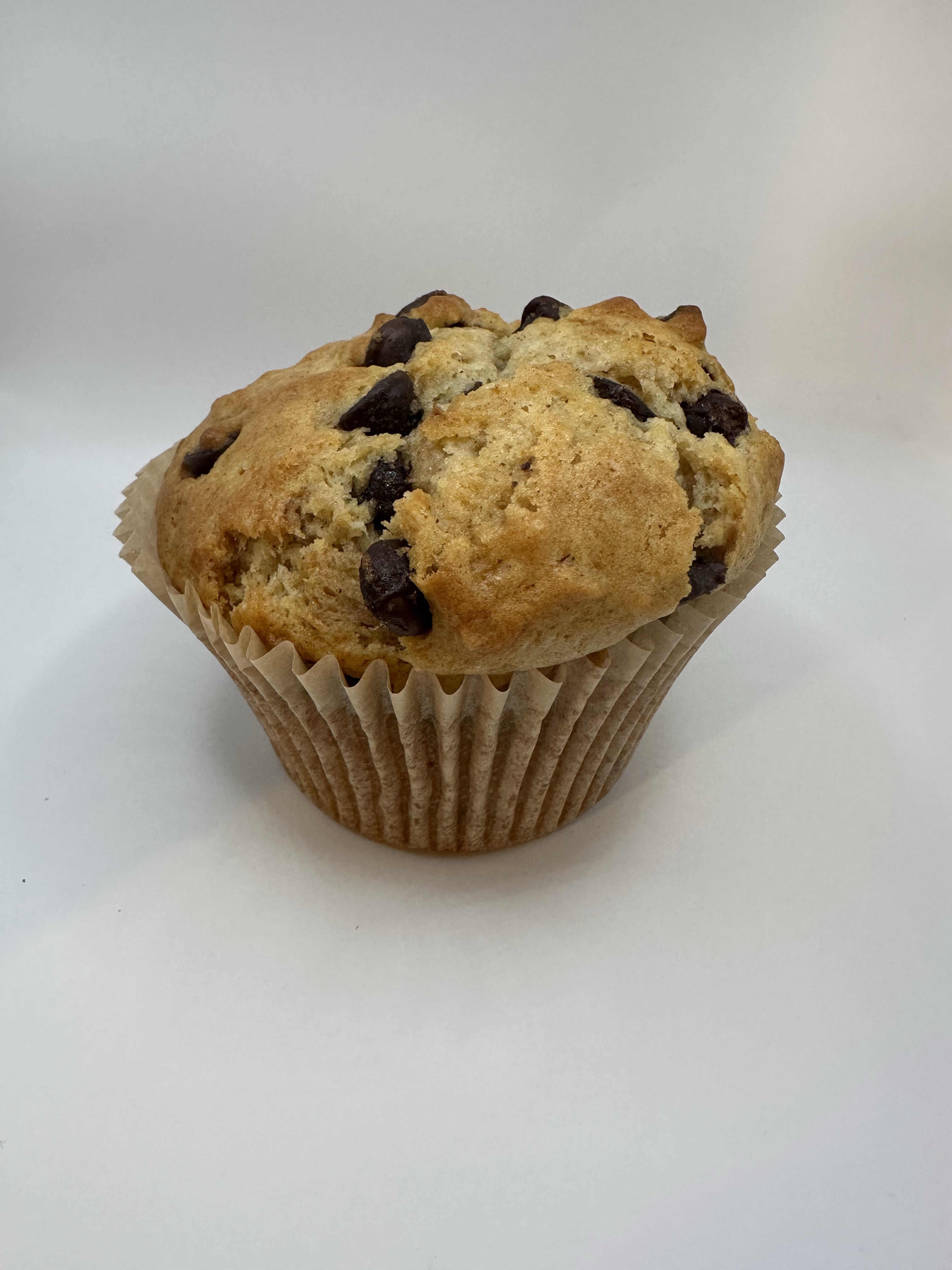 Chocolate Chip Muffin