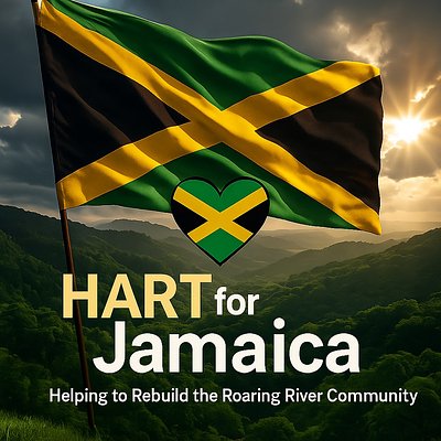 Rum Cake For Relief 🇯🇲