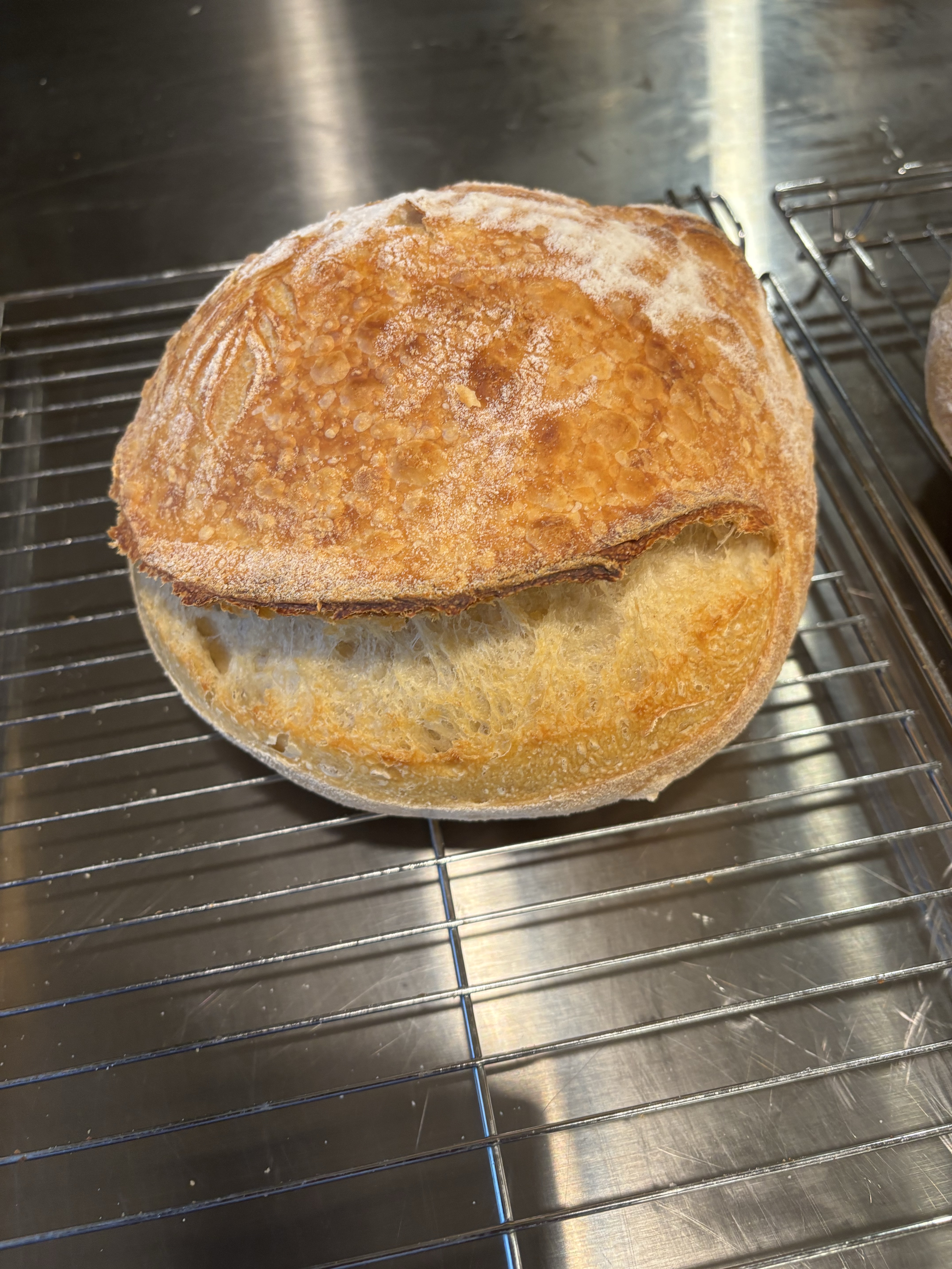 Rosemary & Garlic Sourdough Round