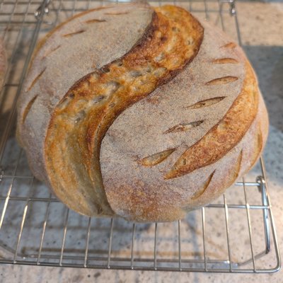Regular Sourdough