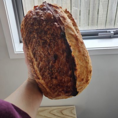 Plain Sourdough