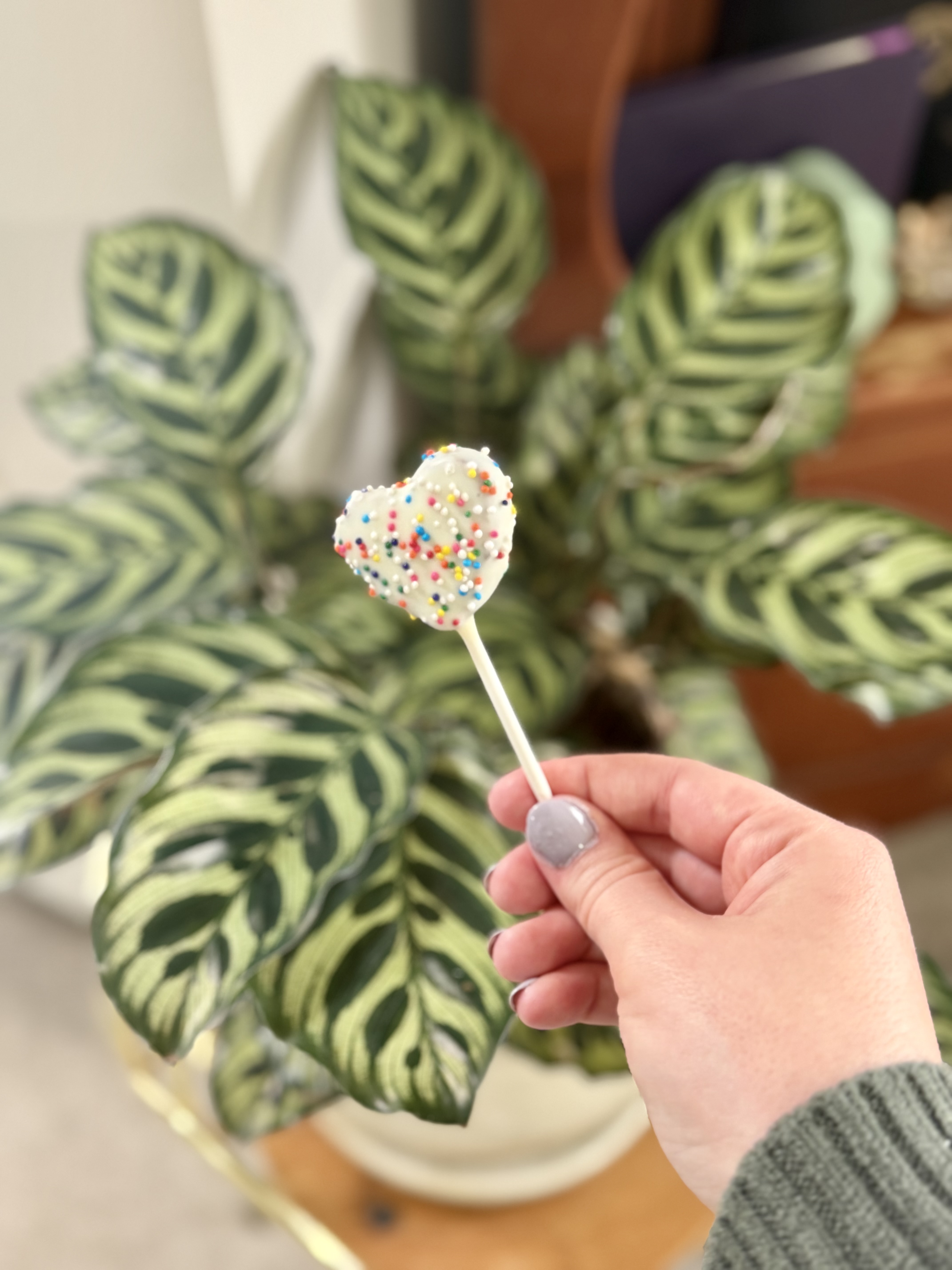 30 Custom Cookie Pops