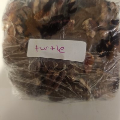 Turtle Brownies 
