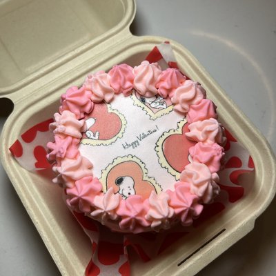 BENTO CAKES 𓍢ִ໋❀
