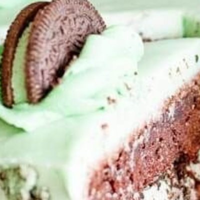Chocolate Mint Cookie 🍪 