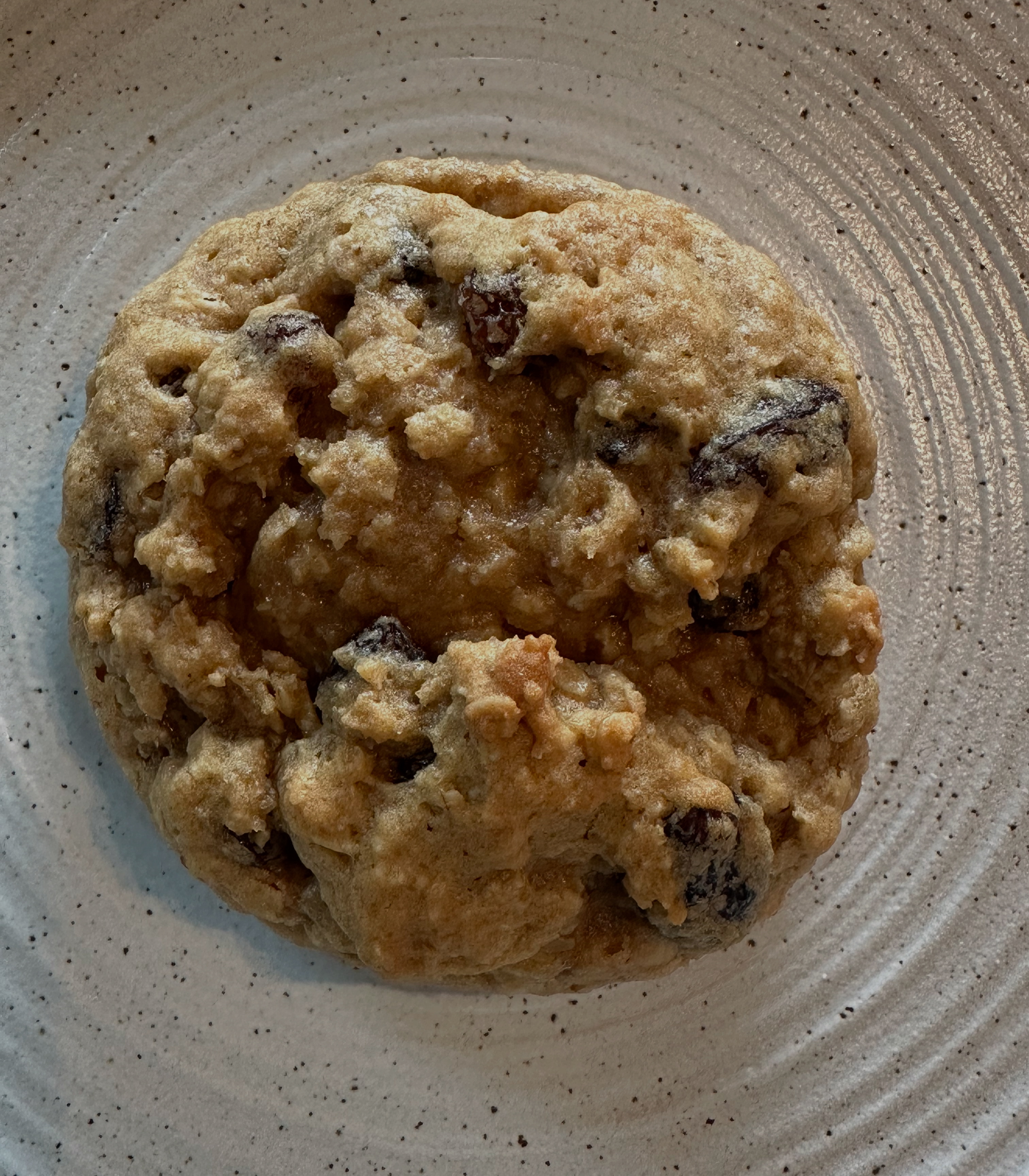 Oatmeal Raisin