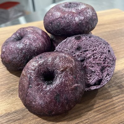 Sourdough Blueberry Bagels (4 Pack)