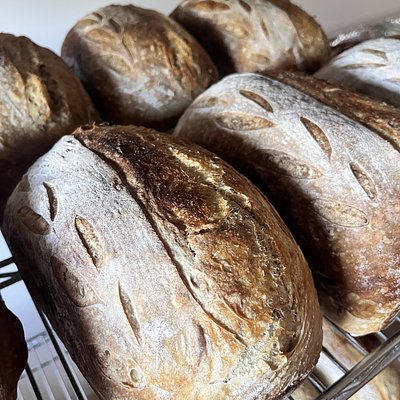 Cranberry orange Sourdough