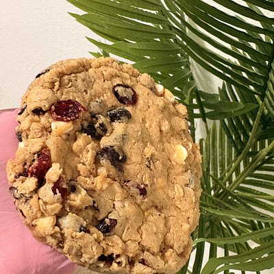 Oatmeal Raisin n Cranberry Cookie 