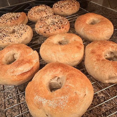  “Red Rock Rounds” Sourdough Bagels