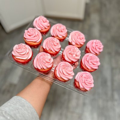 Regular Size Cupcakes 