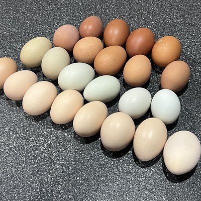 Rainbow Eggs