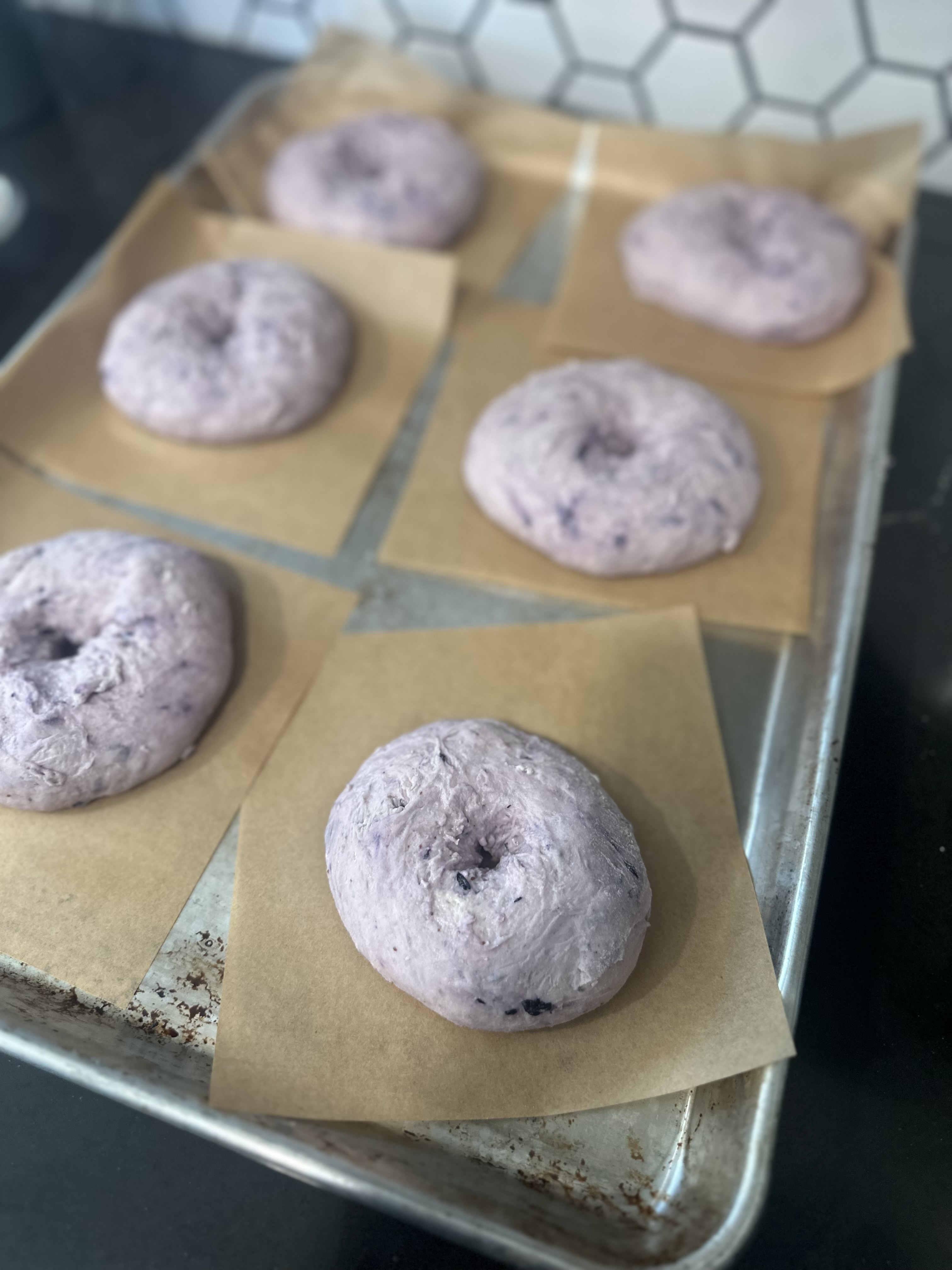 Sourdough Bagels - Blueberry