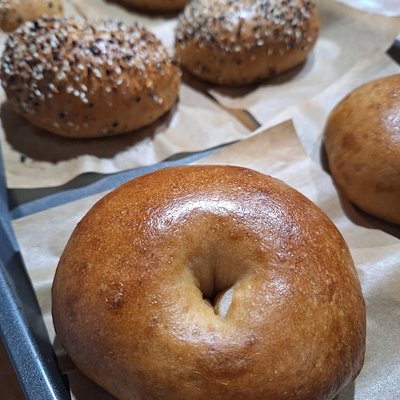 Plain Bagels - 6 Pack