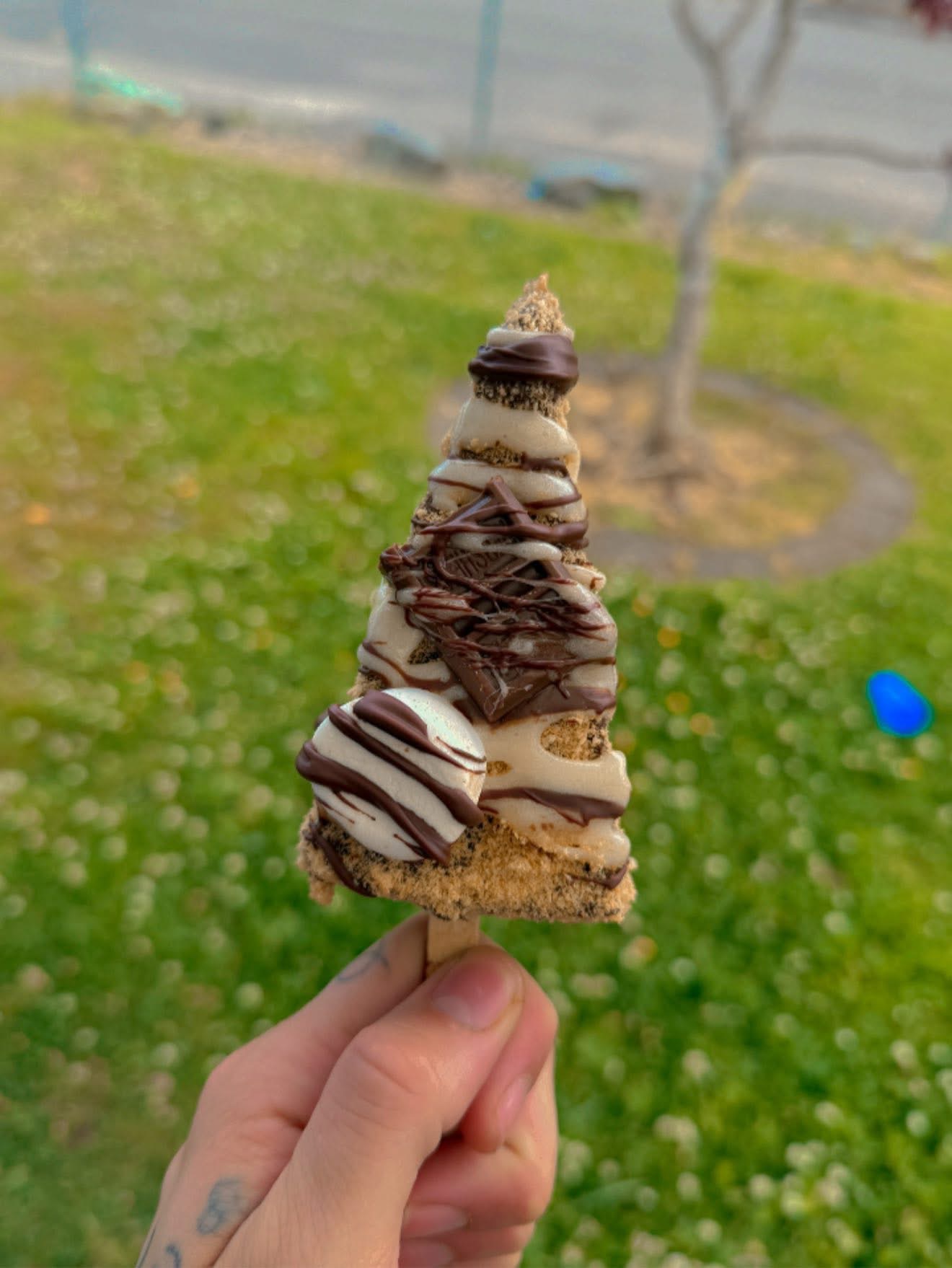 S’mores