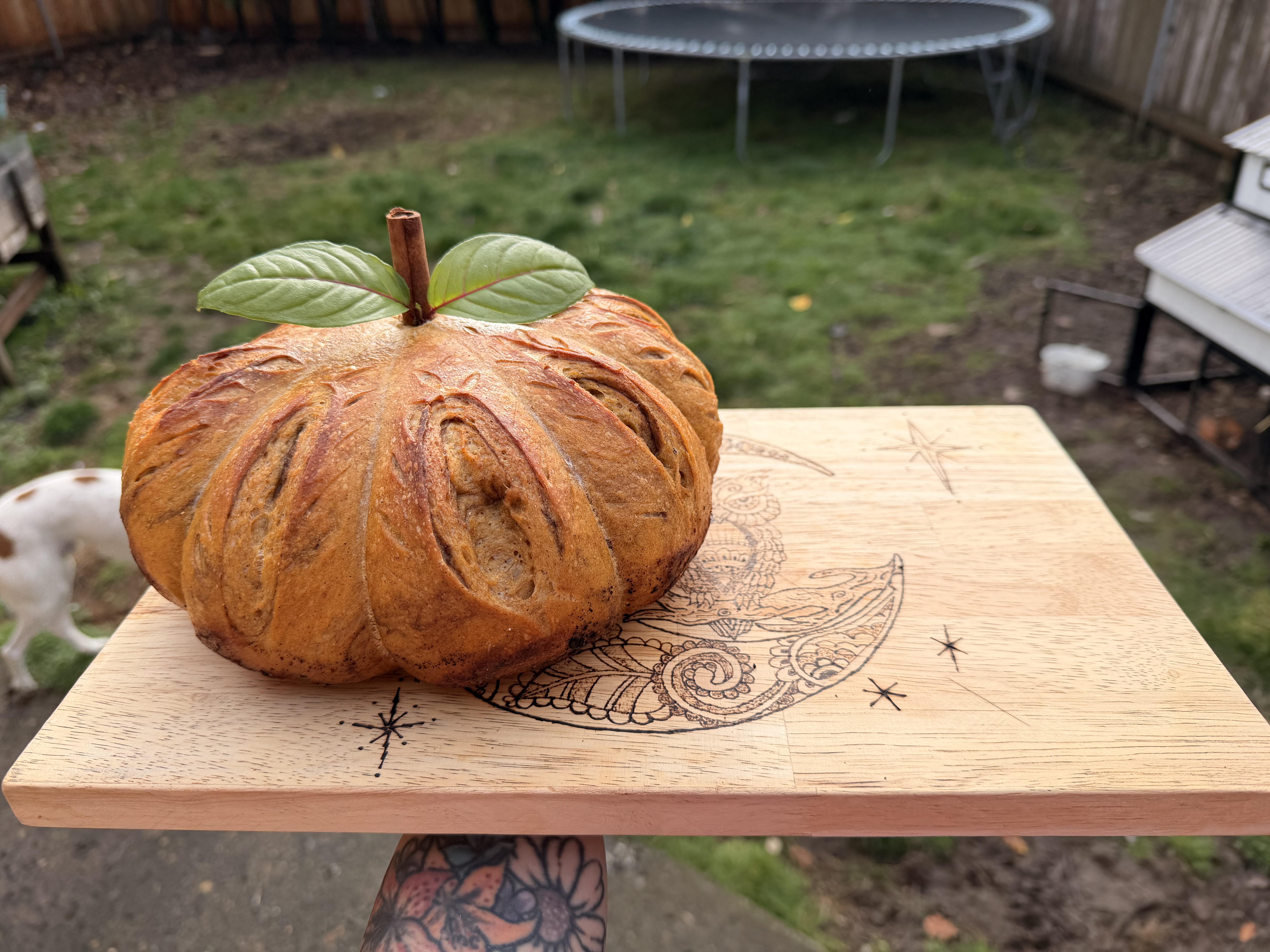 🎃 Pumpkin Loaf