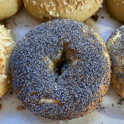1 Organic Sourdough Poppy Bagel