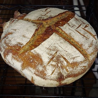 Einkorn Sourdough Bread - Full Loaf