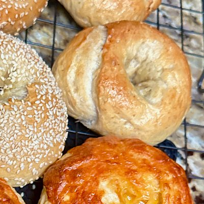 Sourdough Plain Bagels 
