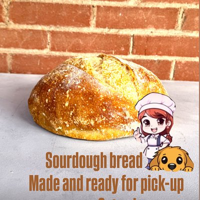 Organic Sourdough Round Bread 