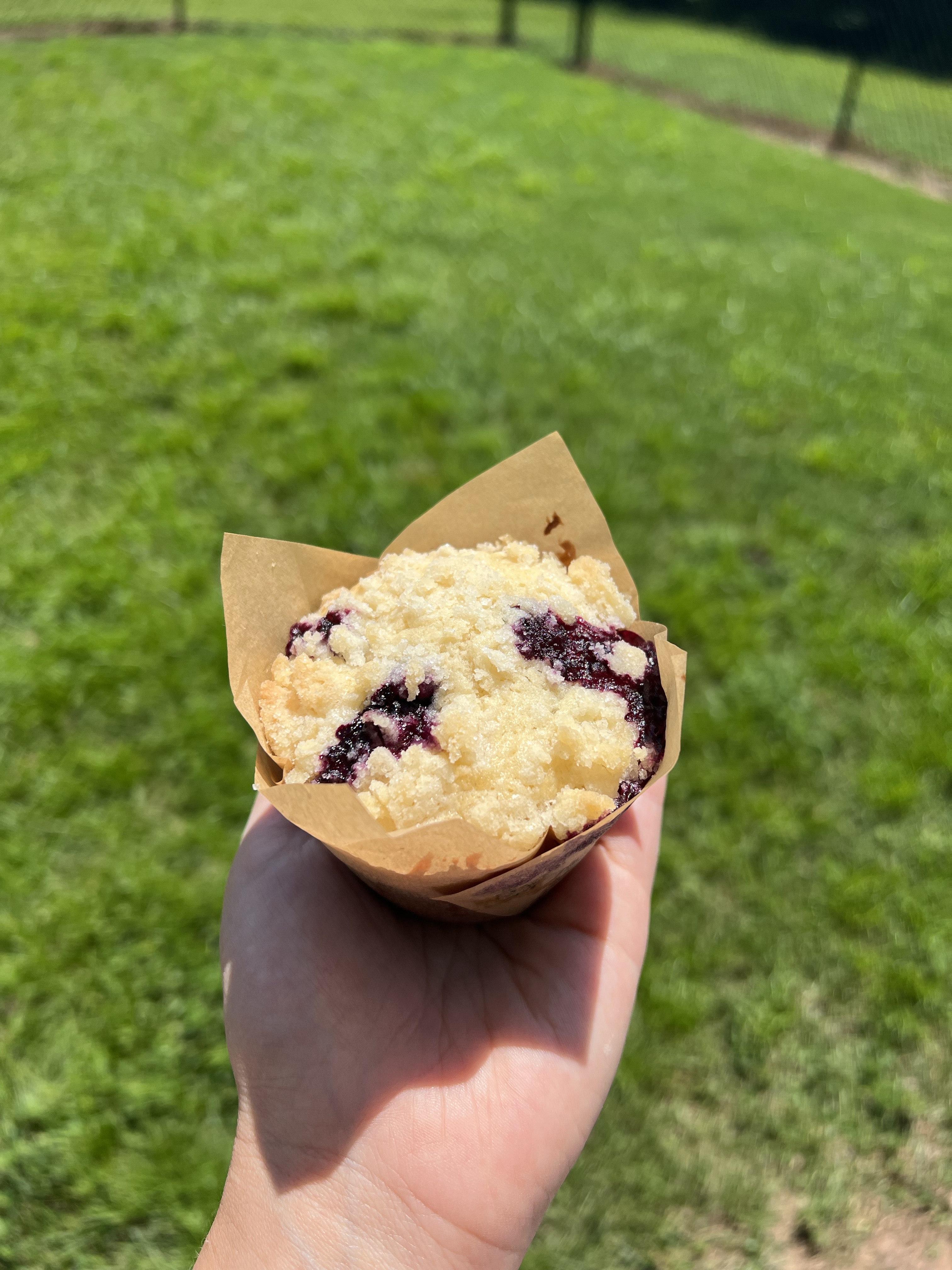 Blueberry crumble 