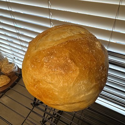 Plain Sourdough Mini Loaf 